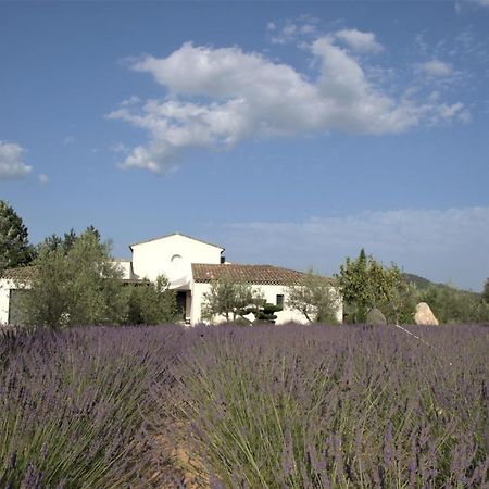 Villa Otilia-Bed And Breakfast-Chambres D'Hotes En Provence Rians  Exterior photo