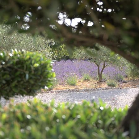 Villa Otilia-Bed And Breakfast-Chambres D'Hotes En Provence Rians  Exterior photo