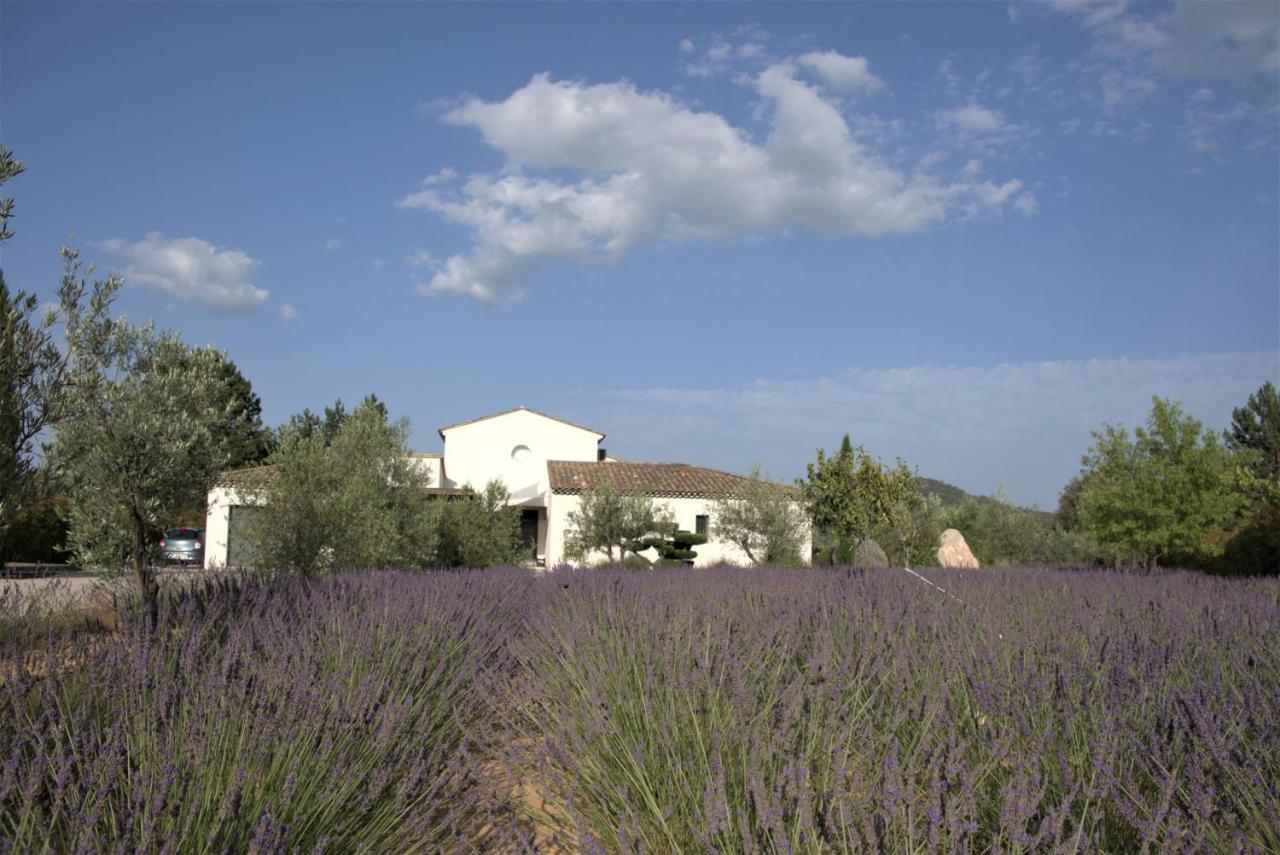 Villa Otilia-Bed And Breakfast-Chambres D'Hotes En Provence Rians  Exterior photo
